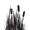 Carved silhouette flat icon, simple vector design. Cartoon grass with bulrush. Royalty Free Stock Photo