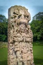 Carved Stella in Mayan Ruins - Copan Archaeological Site, Honduras Royalty Free Stock Photo