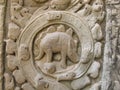 A carved stone figure of a stegosaurus dinosaur on a wall in Ta Prohm temple.