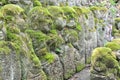 Carved stone figures of Rakan at Otagi nenbutsu-ji Temple in Ara