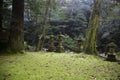 Carved stone monoliths at a Japanese shrine in Wakayama Prefecture in Japan.