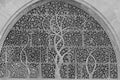 Carved Tree of Life Window