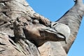 Carved from wood Dodo bird