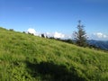 Carvers Gap Landscape