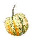 Carvinal squash Royalty Free Stock Photo