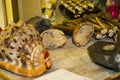 Carving Cameos from Seashells in Sorrento Italy Royalty Free Stock Photo