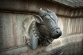 Carving of a Cow head on the wall of temple at Phaltan