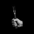 Carving fork - kitchen tools in a man`s hand