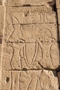 The carving at Karnak temple Royalty Free Stock Photo
