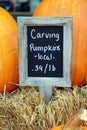 Carving Pumpkins Sale Sign Royalty Free Stock Photo