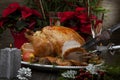 Carving Roasted Christmas Turkey with Grab Apples Royalty Free Stock Photo