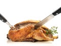 Carving Roasted Duck - Carving Duck on white Background