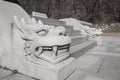 Carving stone dragon head Royalty Free Stock Photo