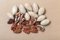 Carya illinoinensis nuts on a cardboard background. Peeled pecans, in the shell and without Royalty Free Stock Photo