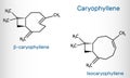 Caryophyllene, beta-Caryophyllene, C15H24 molecule. It is natural bicyclic sesquiterpene that is a constituent of many essential Royalty Free Stock Photo