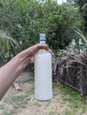 caryota urens toddy - toddy bottle in sri lanka