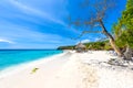 Cas Abao beach - paradise white sand Beach with blue sky and crystal clear blue water in Curacao, Netherlands Antilles, a