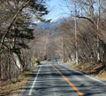 Cas run on road at forest in Aomori, Japan