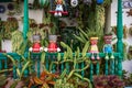 Casa Carmelina is an unusual house on the shores of Punta Mujeres bay, decorated with live plants, succulents and cacti.