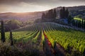Casale Marittimo, Tuscany, Italy, view from the vineyard on sept