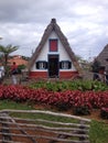 Casas tÃÂ­picas madeirenses / Typical thatched houses in Madeira