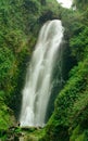 Cascada De Peguche Waterfall, Ecuador Royalty Free Stock Photo