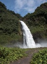 Cascada Magica waterfall,Ecuador Royalty Free Stock Photo