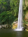 Cascada (waterfall) Misol Ha Royalty Free Stock Photo