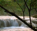 Cascadas de Agua Azul waterfall Royalty Free Stock Photo