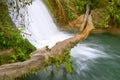 Cascadas de Agua Azul waterfall Royalty Free Stock Photo