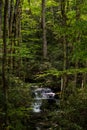 Cascade Along Jakes Creek In Great Smoky Mountains Royalty Free Stock Photo