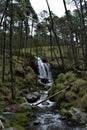 The Cascade in Apatlaco7