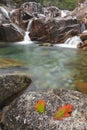 Cascade in autumn, National Park of Peneda Geres, Portugal