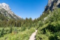 Cascade Canyon trail in Grand Teton national Park on a bright blue sunny summer day Royalty Free Stock Photo