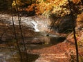 Cascade in the creek