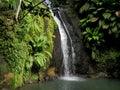 cascade de bis, tropical waterfall in the caribbean jungle, sain