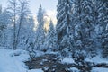 Cascade fast mountain river in the winter snowy forest Royalty Free Stock Photo