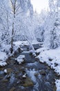 Cascade fast mountain river in the winter snowy forest Royalty Free Stock Photo