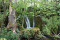 Cascade in forest (Plitvice Lakes)