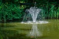 Cascade fountain on the emerald surface of the pond against background of emerald green of shady summer garden. Royalty Free Stock Photo