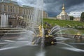 Cascade Fountains in Peterhof Palace Russia Royalty Free Stock Photo