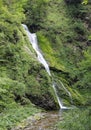 cascade of fresh water in the middle of the forest in an unconta Royalty Free Stock Photo