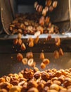 Peanut Processing on an Industrial Production Line Royalty Free Stock Photo