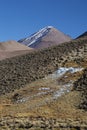 Lauca National Park in Chile Royalty Free Stock Photo