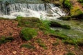 Cascade on the little stream with stones in forest Royalty Free Stock Photo