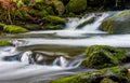 Cascade on the little stream with stones in forest Royalty Free Stock Photo
