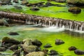 Cascade on the little stream with stones in forest Royalty Free Stock Photo