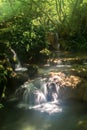 A Cascade of Little Waterfalls in Forest Krushuna, Bulgaria Po Royalty Free Stock Photo