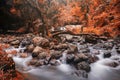cascade motion waterfall in autumn