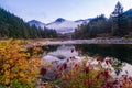 Fall Foliage Skirts the Shore of the Skykomish River, Washington State Royalty Free Stock Photo